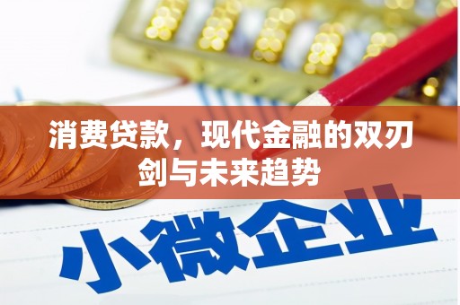 金城江消费贷款，现代金融的双刃剑与未来趋势