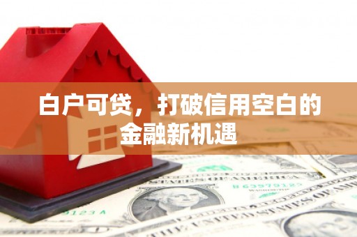 金城江白户可贷，打破信用空白的金融新机遇