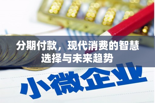 金城江分期付款，现代消费的智慧选择与未来趋势