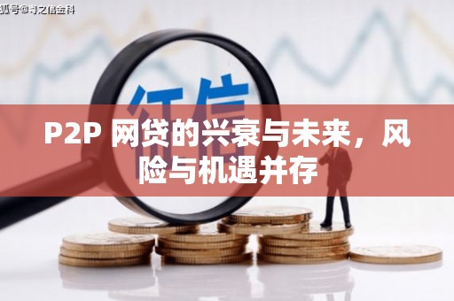 金城江P2P 网贷的兴衰与未来，风险与机遇并存