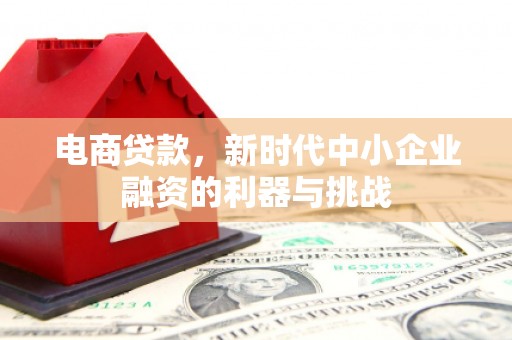 金城江电商贷款，新时代中小企业融资的利器与挑战