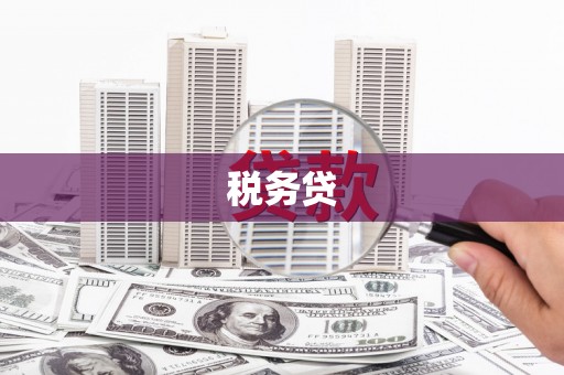 金城江税务贷