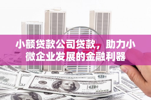 金城江小额贷款公司贷款，助力小微企业发展的金融利器