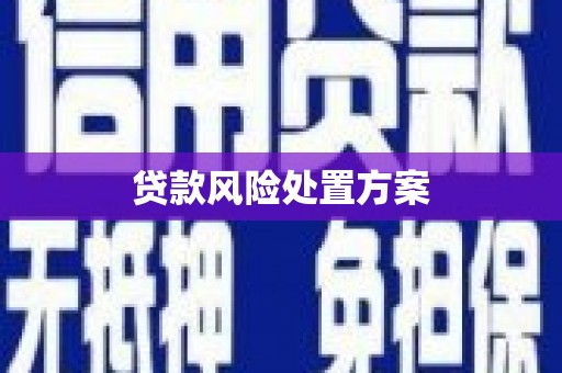 金城江贷款风险处置方案