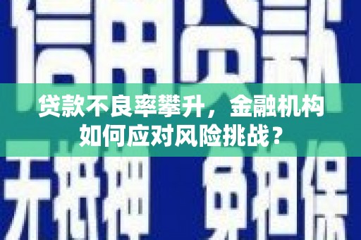 金城江贷款不良率攀升，金融机构如何应对风险挑战？