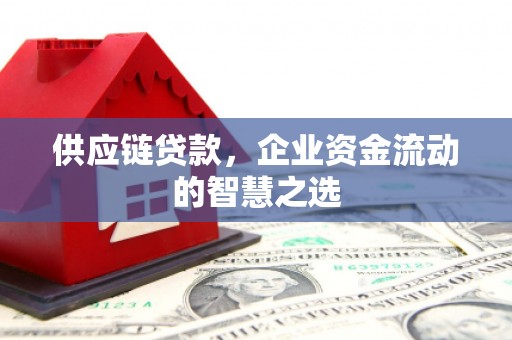 金城江供应链贷款，企业资金流动的智慧之选
