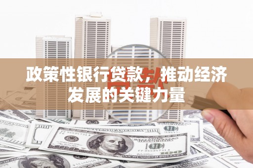 金城江政策性银行贷款，推动经济发展的关键力量