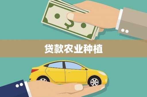 金城江贷款农业种植