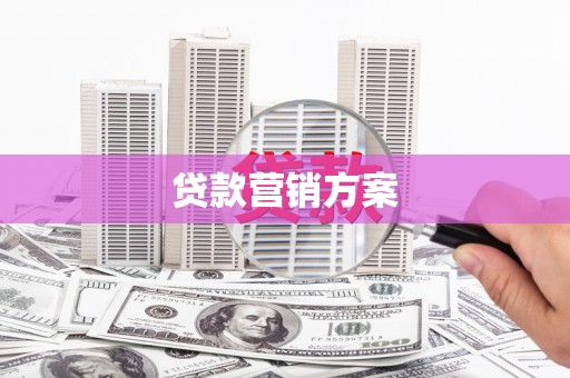 金城江贷款营销方案