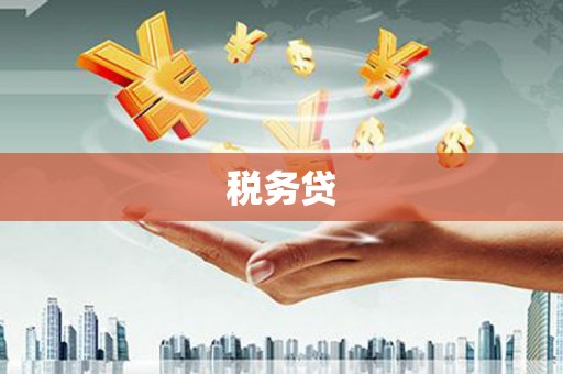 金城江税务贷