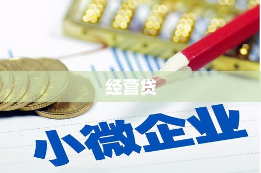 金城江经营贷