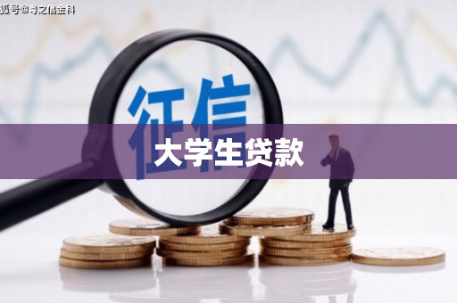 金城江大学生贷款