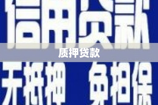 金城江质押贷款
