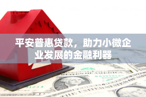金城江平安普惠贷款，助力小微企业发展的金融利器