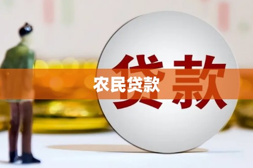 金城江农民贷款