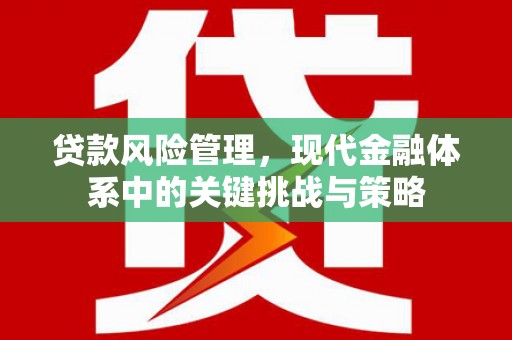 金城江贷款风险管理，现代金融体系中的关键挑战与策略
