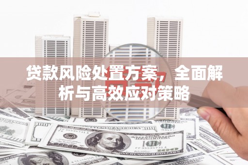 金城江贷款风险处置方案，全面解析与高效应对策略