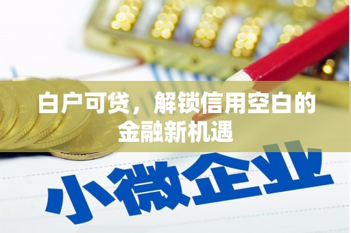金城江白户可贷，解锁信用空白的金融新机遇
