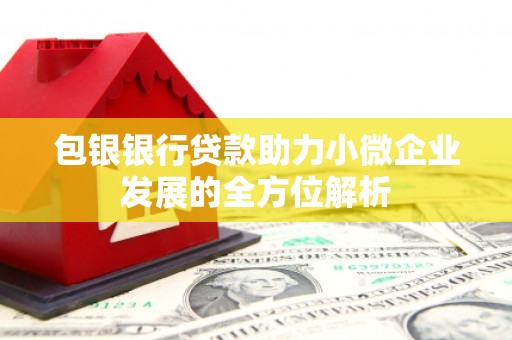 金城江包银银行贷款助力小微企业发展的全方位解析