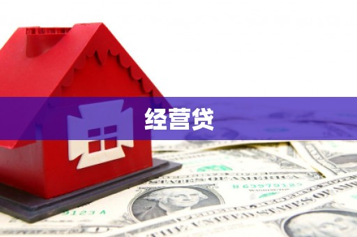 金城江经营贷