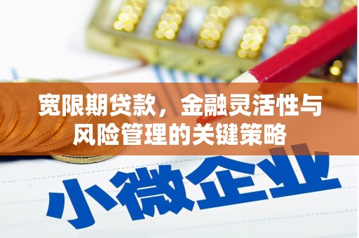 金城江宽限期贷款，金融灵活性与风险管理的关键策略