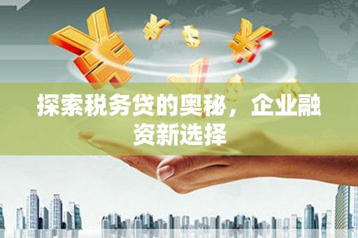 金城江探索税务贷的奥秘，企业融资新选择