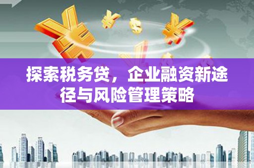 金城江探索税务贷，企业融资新途径与风险管理策略