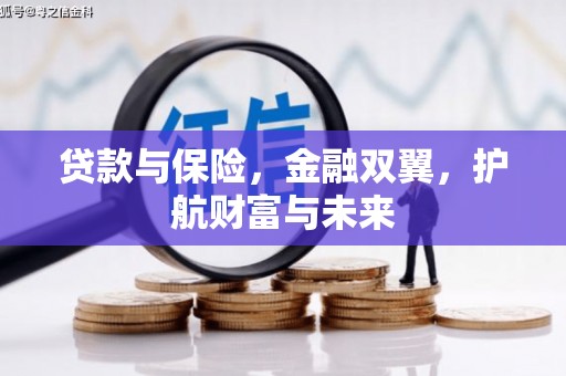 金城江贷款与保险，金融双翼，护航财富与未来