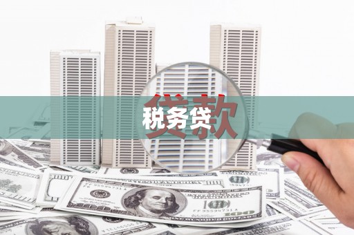 金城江税务贷