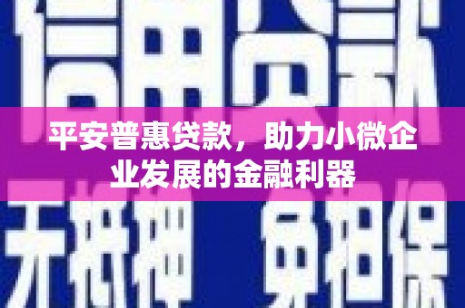 金城江平安普惠贷款，助力小微企业发展的金融利器