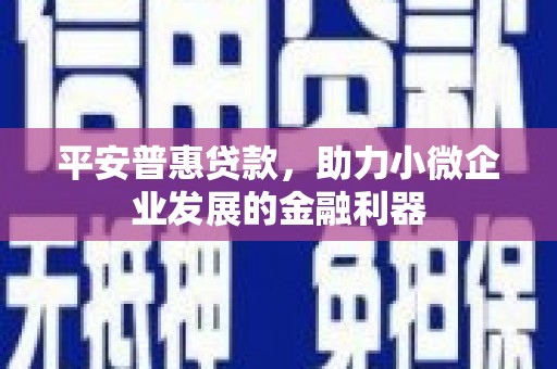 金城江平安普惠贷款，助力小微企业发展的金融利器