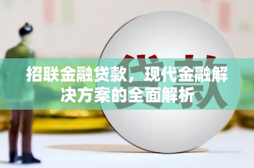 金城江招联金融贷款，现代金融解决方案的全面解析