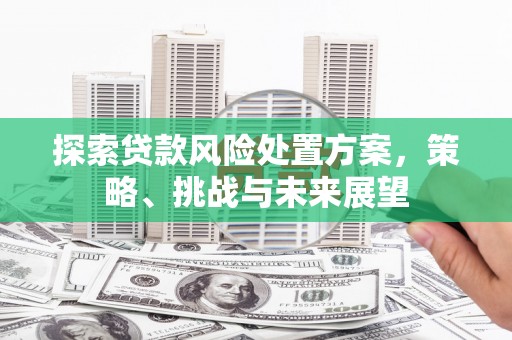 金城江探索贷款风险处置方案，策略、挑战与未来展望