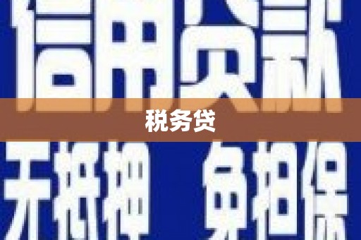 金城江税务贷