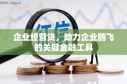 金城江企业经营贷，助力企业腾飞的关键金融工具