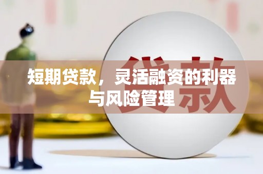金城江短期贷款，灵活融资的利器与风险管理