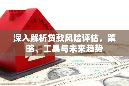 金城江深入解析贷款风险评估，策略、工具与未来趋势