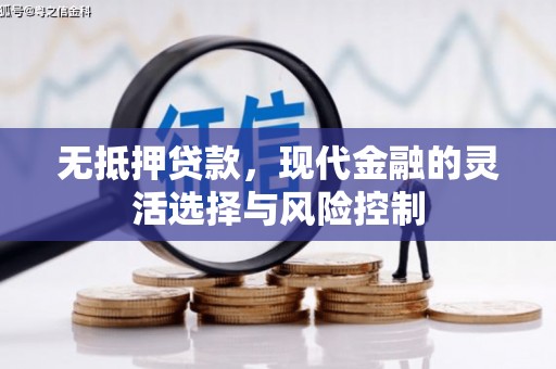 金城江无抵押贷款，现代金融的灵活选择与风险控制