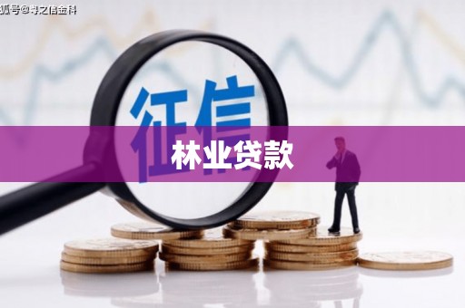 金城江林业贷款