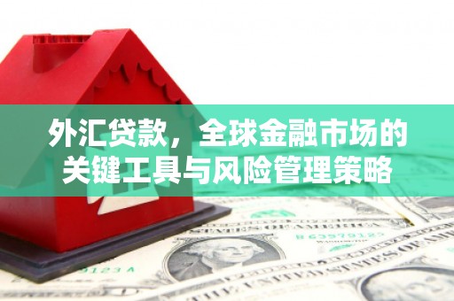 金城江外汇贷款，全球金融市场的关键工具与风险管理策略