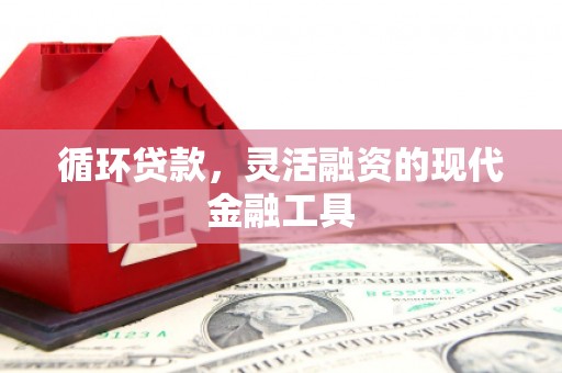 金城江循环贷款，灵活融资的现代金融工具