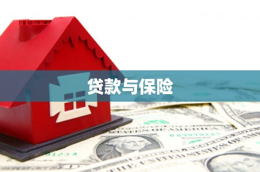 金城江贷款与保险