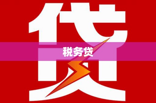 金城江税务贷
