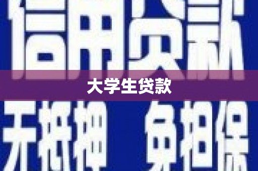 金城江大学生贷款