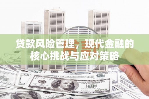 金城江贷款风险管理，现代金融的核心挑战与应对策略
