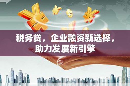 金城江税务贷，企业融资新选择，助力发展新引擎