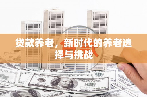 金城江贷款养老，新时代的养老选择与挑战