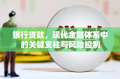 金城江银行贷款，现代金融体系中的关键支柱与风险控制
