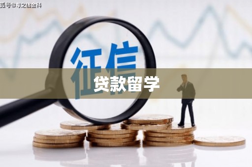 金城江贷款留学