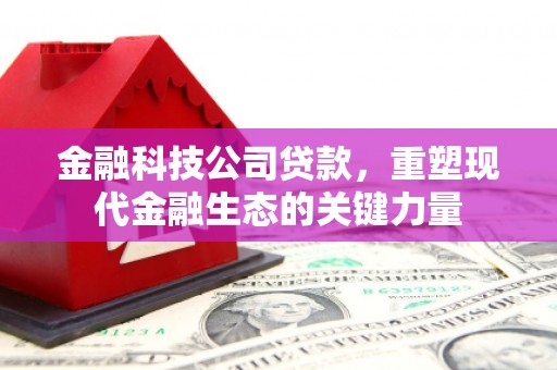 金城江金融科技公司贷款，重塑现代金融生态的关键力量